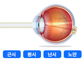 기초자료 화면